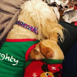 Meet your Posher, Emmy